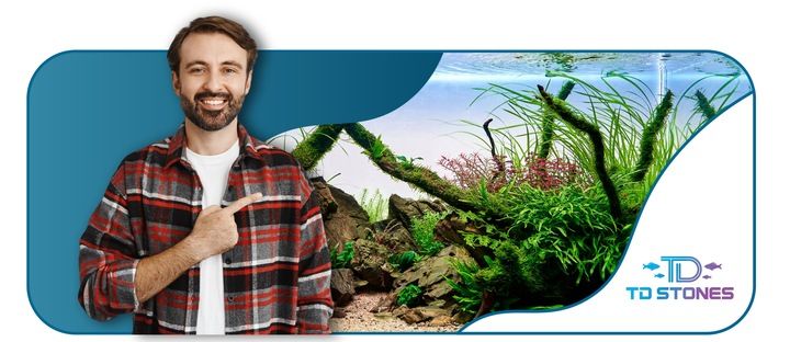 NOŻYCZKI DO PRZYCIANANIA ROŚLIN 25CM STAL NIERDZEWNA WYGIĘTE zdjęcie 7