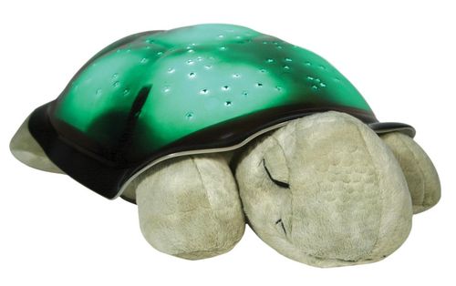 ND19_CLTT-7323-ZZ Cloud b®Twilight Turtle na Arena.pl