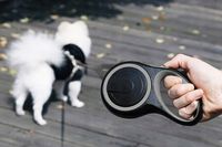 SMYCZ AUTOMATYCZNA DLA PSA Z BLOKADĄ TAŚMA ODBLASKOWA 50 kg 8m