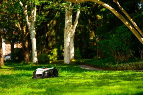 CEDRUS M12+ ROBOT KOSZĄCY KOSIARKA AUTOMATYCZNA DO TRAWY C-MOW 1200m2 - OFICJALNY DYSTRYBUTOR - AUTORYZOWANY DEALER CEDRUS na Arena.pl