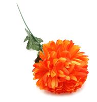 CHRYZANTEMA duża pojedyncza długa gałązka 70cm POMARAŃCZOWA