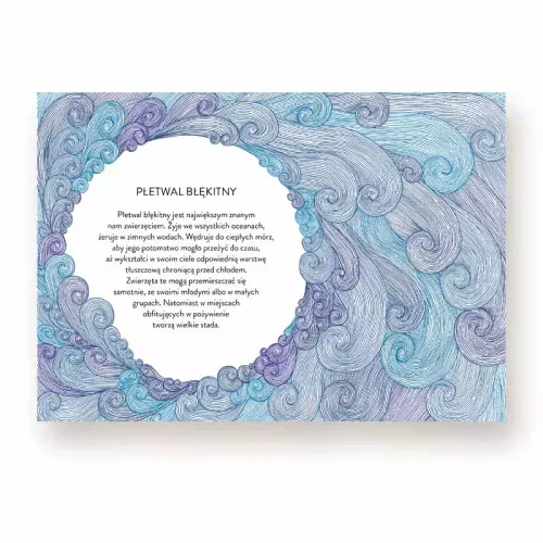 Narodziny na Arena.pl