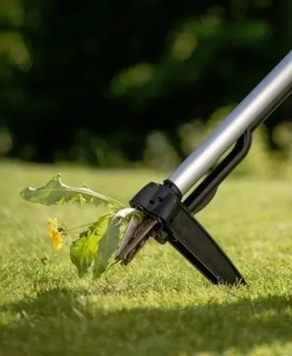 CELLFAST IDEAL WYRYWACZ CHWASTÓW 42-202 na Arena.pl