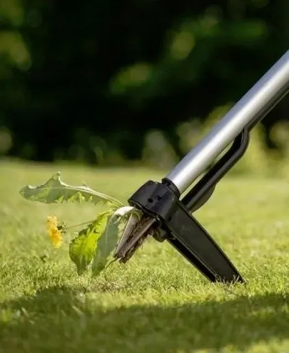 CELLFAST IDEAL WYRYWACZ CHWASTÓW 42-202 zdjęcie 5