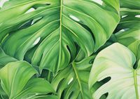 Plakat 59,4x42cm Tajemnice Liści