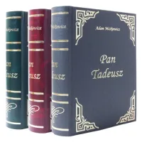 KSIĄŻKA NA ALKOHOL PREZENT PAN TADEUSZ UNIKALNY WYJĄTKOWY