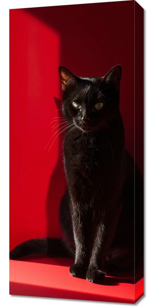 Obraz 40x90cm Elegancja w Cieniu zdjęcie 1