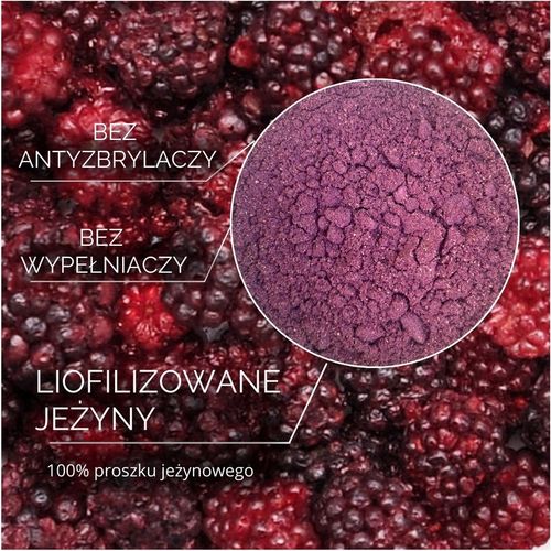 JEŻNY LIOFILIZOWANE 100g Jeżyna 100% POLSKA PROSZEK HiFOOD na Arena.pl