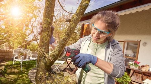 piła akumulatorowa nanoblade easycut 12 - b 6033c9001 na Arena.pl