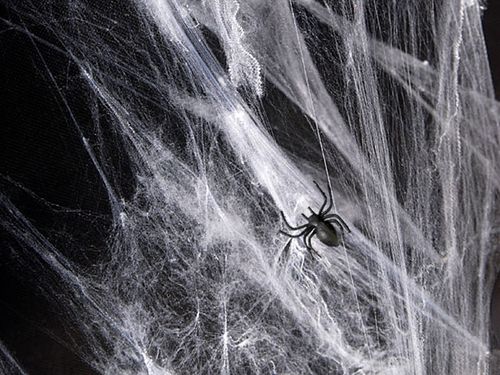 pajęczyna halloween, biały, 60g na Arena.pl