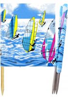 PARAWAN PLAŻOWY 10M Windsurfing GRUBY, MOCNY, MATA POLSKI PRODUCENT,