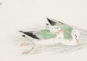 Plakat 59,4x42cm Gull, Kashu Japoński Vintage do Salonu