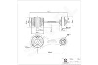 Poduszka silnika RENAULT KANGOO Express 1997 1998 1999 2000