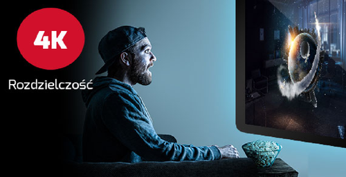 Techbite Flix Tv Box + Pilot 8Gb Wifi 4K Android na Arena.pl