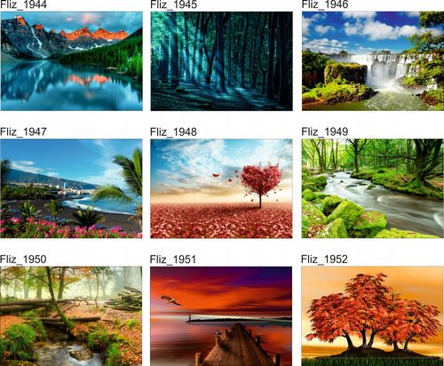 FOTOTAPETA KRAJOBRAZ PALMY PLAŻA WIDOK SŁOŃCE na Arena.pl