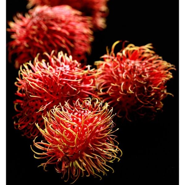 Yodeyma Sophisticate Woda Perfumowana Dla Kobiet 100ml zdjęcie 3