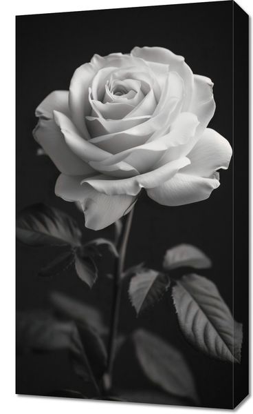 Obraz 40x70cm Płatki Róż zdjęcie 1