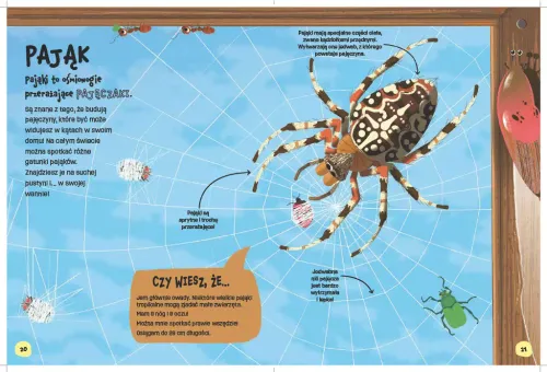 Świat Robali na Arena.pl