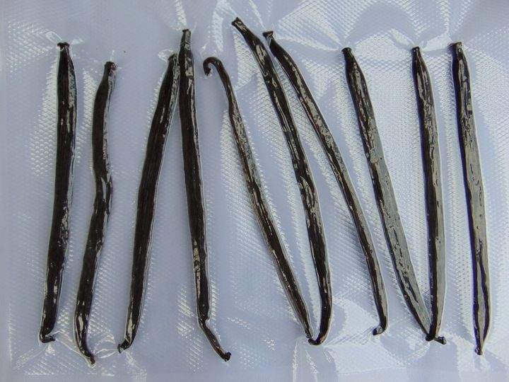 WANILIA LASKI 10 SZT 10-14 cm Laska Wanilii JAKOŚĆ 1 ŚWIEŻE, WILGOTNE LASKI zdjęcie 6