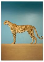 Plakat obraz lampart 70x100 cm