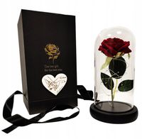 GRAWER Wieczna Róża Podświetlana w Szkle Prezent na Walentynki dla Niej led