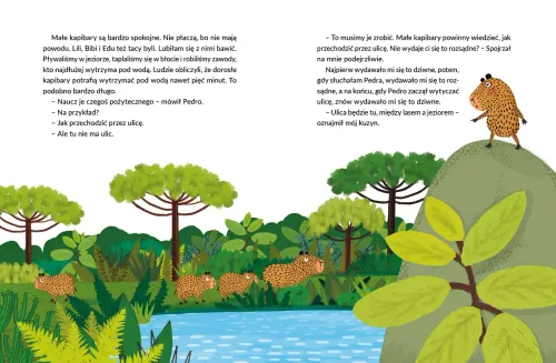 Kapibara Barbara na Arena.pl