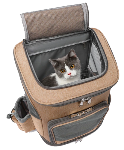 TRANSPORTER DLA PSA KOTA WÓZEK na kołach PLECAK na Arena.pl