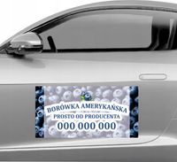 Magnes na samochód reklama magnetyczna 60x30 cm BORÓWKA AMERYKAŃSKA