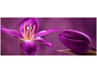 100X40CM FIOLETOWE TULIPANY OBRAZ DREWNO