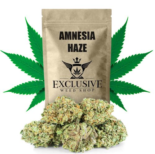 Susz konopny Amnesia Haze CBD Exclusive Weed 1000g na Arena.pl