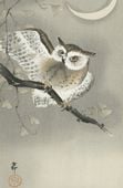 Plakat 56,6x86,4cm Long-Eared Owl 2, Koson Japoński Vintage do Salonu