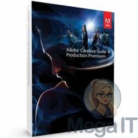 Production Premium CS6 - Licencja Wieczysta (LifeTime) - Windows - Użytkownik Indywidualny - BOX (ESD)