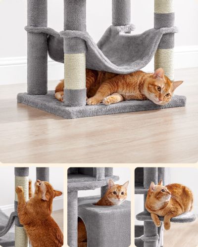 Drapak - PCT192W01 na Arena.pl