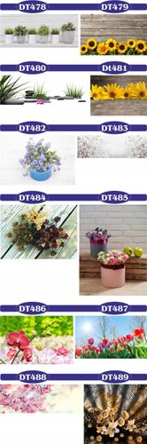 fototapety FOTOTAPETA na wymiar KWIAT kamienie SPA na Arena.pl