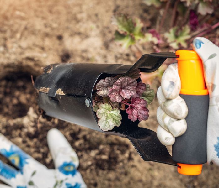 Dołkownik Do Sadzenia Drzewek Krzewów Świder zdjęcie 3