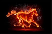 product-compare-58693762