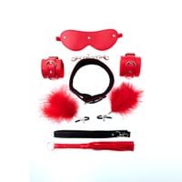 bondage set consists of 5 bdsm pieces