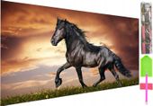 HAFT DIAMENTOWY 5D Zestaw Obraz MOZAIKA 50*100cm