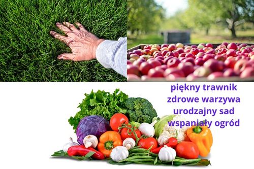 Mączka bazaltowa naturalny nawóz do roślin warzyw 19,5 kg na Arena.pl