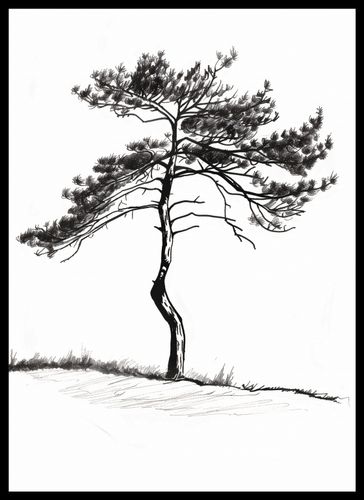 Plakat 39,5x55cm Samotna Sosna na Arena.pl