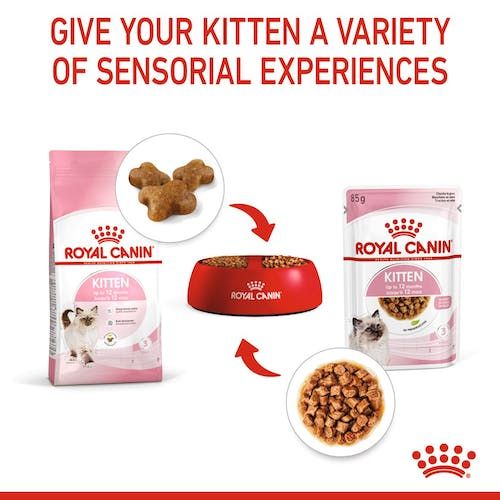 Royal Canin Kitten W Sosie Karma Mokra Dla Kociąt Do 12 Miesiąca Życia 85G na Arena.pl