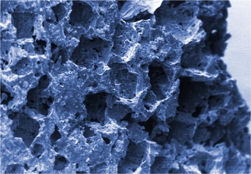 Sera Siporax 500 ml na Arena.pl