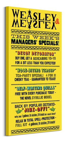 Harry Potter (Weasley zdjęcie 1