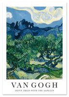 Plakat Van Gogh olive trees 50x70 cm