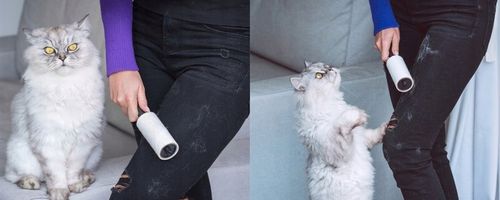 14 x ROLKA ROLKI DO CZYSZCZENIA UBRAŃ włosów sierści 840 listków SILNY KLEJ na Arena.pl