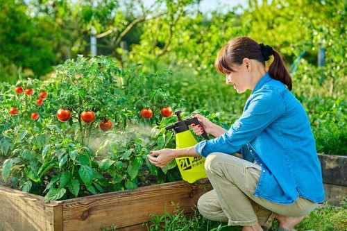 OPRYSKIWACZ CIŚNIENIOWY NO PEST GARDENBLAST PRECISION 2L Z REGULOWANĄ na Arena.pl