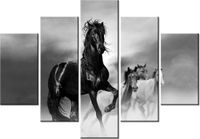 product-compare-58697057