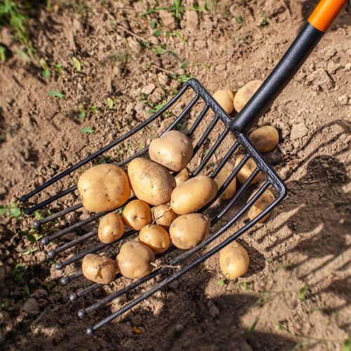 Widły Gable 10-Zębne Do Ziemniaków Buraków 130cm na Arena.pl