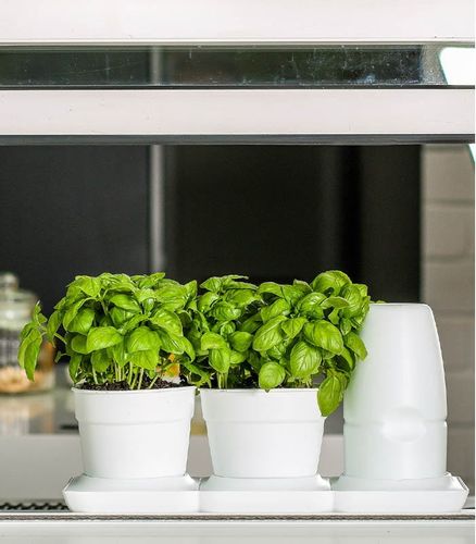 Ogródek domowy Minigarden Basic S +Pots - biały na Arena.pl