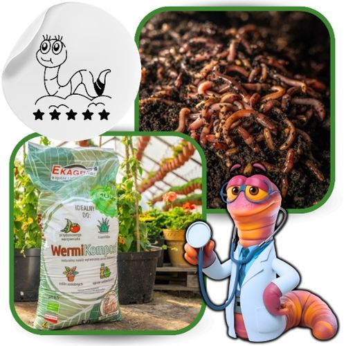 Naturalny Kompost Ekologiczny od Dżdżownic na Arena.pl